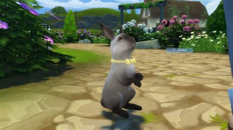 The Sims Cottage Living All About Rabbits