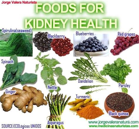 They also regulate blood pressure, manage water reabsorption, control the acidity in the body, and balance electrolyte levels. Best 25+ Food for kidney health ideas on Pinterest ...