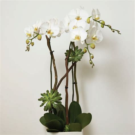 Send The Contemporary Orchid Arrangement Bouquet Of Flowers From Ideal Orchids In West Palm
