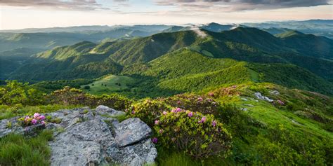 Roan Mountain Hiking Trail Appalachian Trail The Adventure Collective