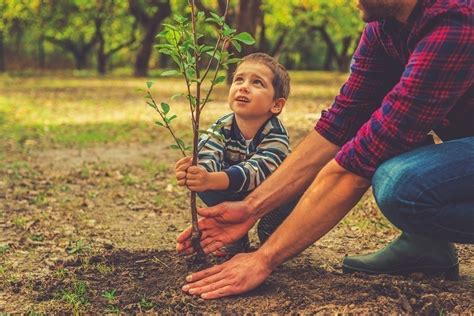 En Argentina Celebrarán Cada Nueva Vida Plantando Un árbol Bioguia