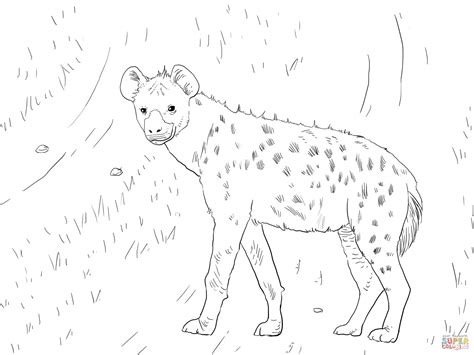 African Spotted Hyena Coloring Page Free Printable Coloring Page