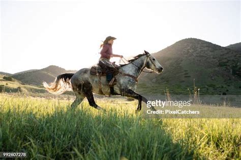 Horse Mounts Women Photos And Premium High Res Pictures Getty Images
