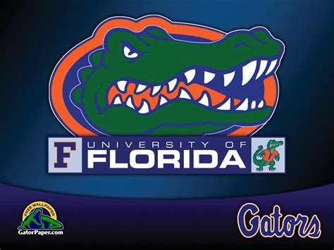 48 Florida Gators Wallpaper Hd On Wallpapersafari