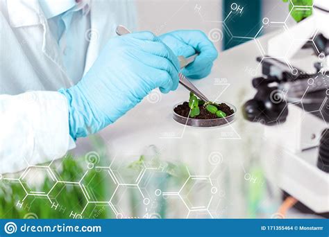 Scientists Working With Plants At Modern Laboratory Stock Photo Image