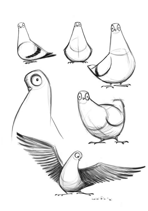 How To Draw A Cartoon Pigeon Step By Step Peepsburgh