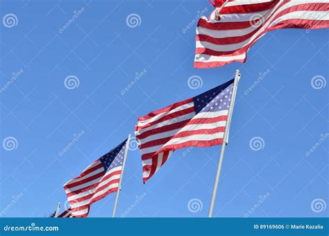 American Flags Blowing In Wind Stock Photo Image Of Flags Color
