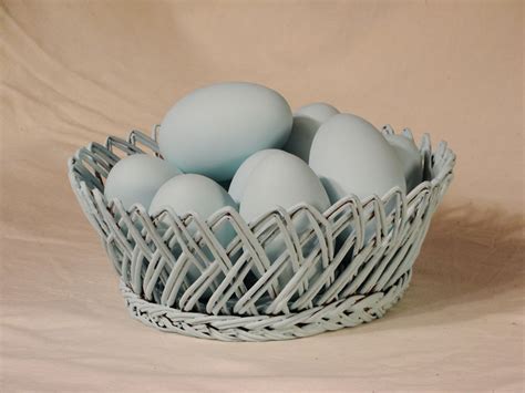 Pace Kendall Martha Stewarts Eggs
