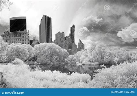Panorama Infrared Image Of The Central Park Stock Image Image Of