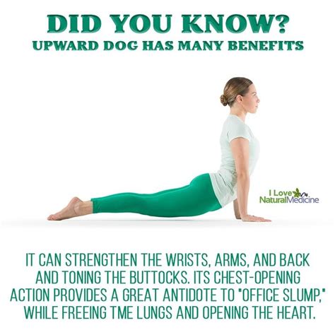 Yoga Poses Upward Dog Yoga For Strength And Health From Within