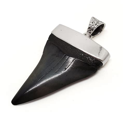 Megalodon Fossil Shark Tooth Sterling Silver Pendant The Fossil Cartel