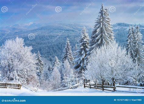 Alpine Mountain Valley Covered With Hoar Frost Stock Photo Image Of