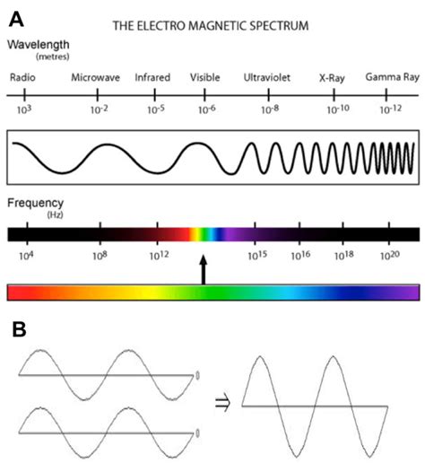 Electromagnetic Spectrum Chart Drawing