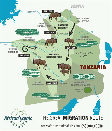 Serengeti Wildebeest Migration Excursions Activities And Packages 2023