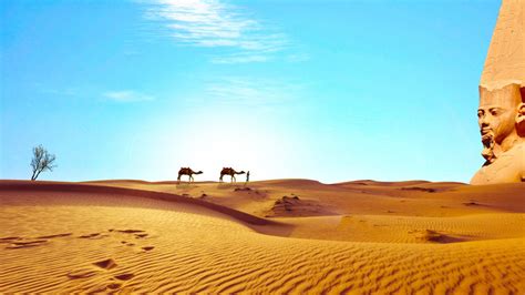 bakgrundsbilder landskap sand öken torr kamel egypten tempel gräsmark kameler platå