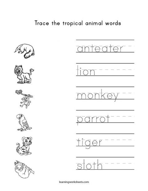 Trace The Tropical Animal Words Learning Worksheets Tropical Animals