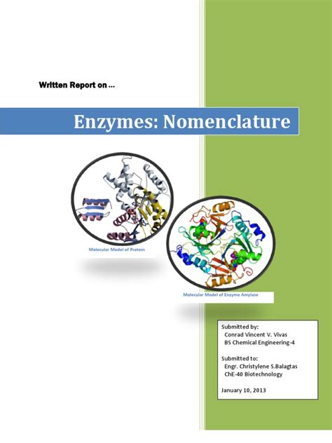 Written Report On Enzymes Nomenclature Cofactor Biochemistry Enzyme