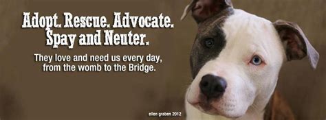 Adopt Rescue Advocate Spay And Neuter They Love And Need Us Every