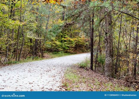 Road With Trees Both Side Stock Image Image Of Leaves 112898493