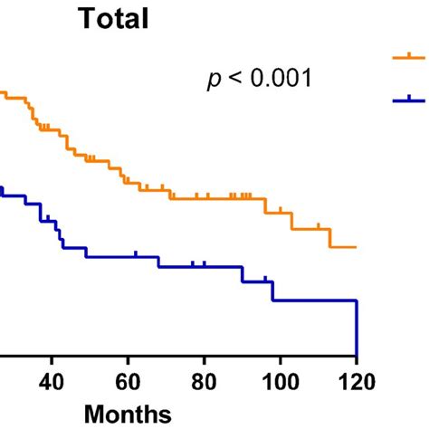 Kaplanmeier Overall Survival Curves According To Pd L1 Expression In