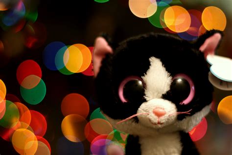 Beanie Boos Full Hd Wallpaper And Background Image 3673x2449 Id502431