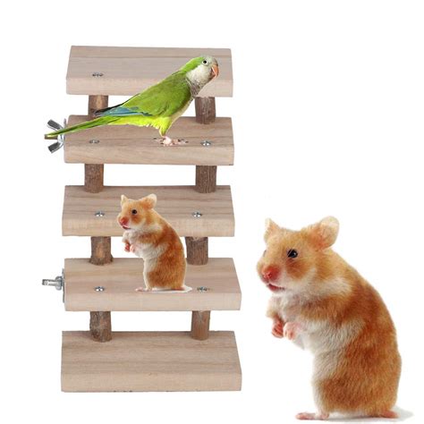 Youthink Hamster Ladder5 Layers Wood Parrot Platform Climbing Ladder