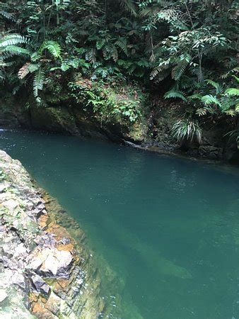 Hutan simpan ayer hitam,puchong · малайзия, селангор, puchong. The blue lagoon - Picture of Ayer Hitam Forest Reserve ...