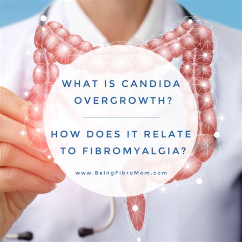 What Is Candida Overgrowth Brandi Clevinger Being Fibro Mom