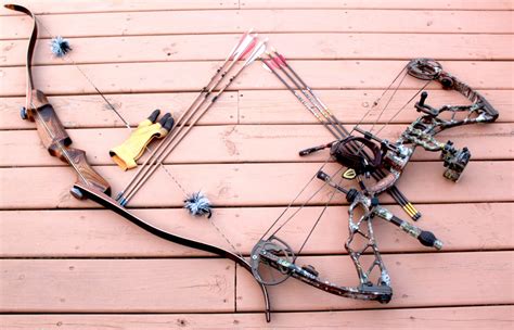 Recurve Vs Compound Bow Find The Best Hunting Tool Field And Stream