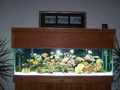 Jul 18, 2021 · owning an aquarium means much more than buying pretty fish and throwing them in a bowl of water. DIY Basic Aquarium Canopy Plan