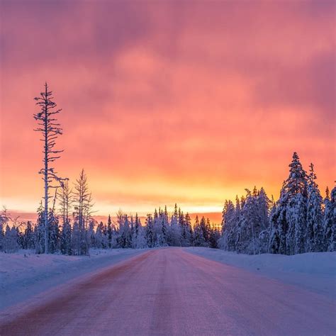 Noon at Ylläs, Lapland, Finland ♡ | Lapland, Finland, Aurora borealis ...