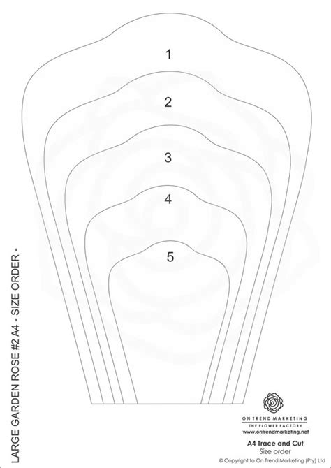 Free collection rose paper flower template simple felt flower templates awesome diy picture free download paper flower templates giant backdrop tutorial rose petal free mini example Pin on Products