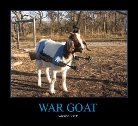 Is World War Goat Coming The Internet Patrol