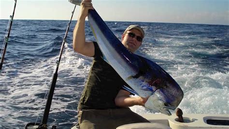Fish for marlin, dorado, sailfish and more. Catching fish in Cabo San Lucas. - YouTube