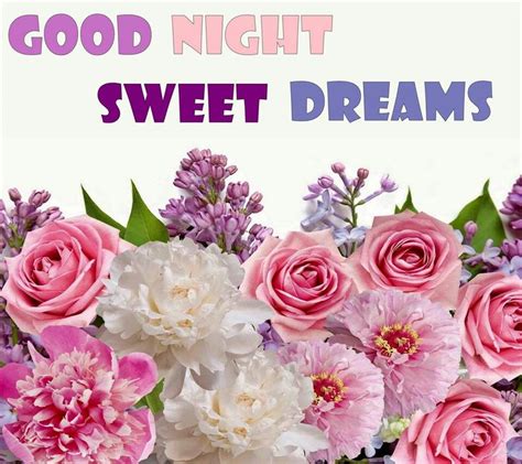 Check out the best collection of good night images with flowers which are best for wishing good night to boyfriend, husband, girlfriend and your. Download HD Good Night Flowers Images, Pictures ...