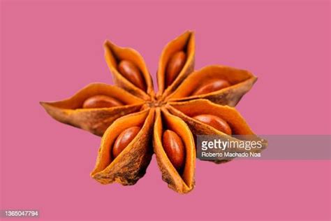 Star Anise Pod Photos And Premium High Res Pictures Getty Images