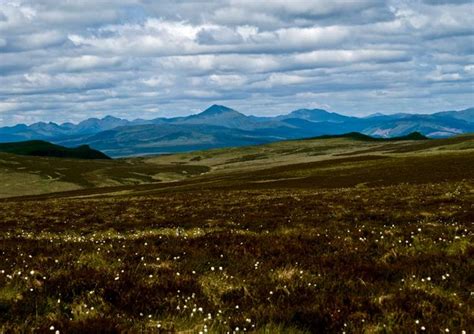 The campsie fells are a range of hills in central scotland, stretching east to west from denny muir to dumgoyne in stirlingshire and overloo. Campsie Fells © Ron Shephard :: Geograph Britain and Ireland