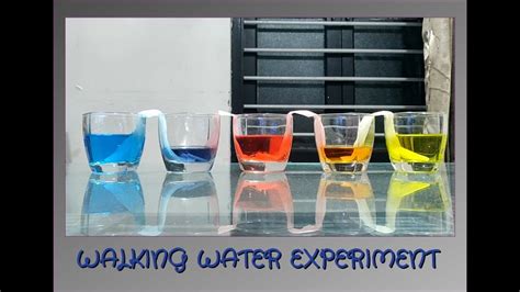 Walking Water Science Experiment Along With Some Colour Mixing Fun