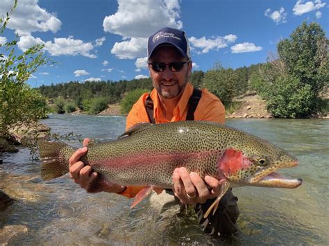 Fly Fishing Near Denver Colorado Trout Hunters