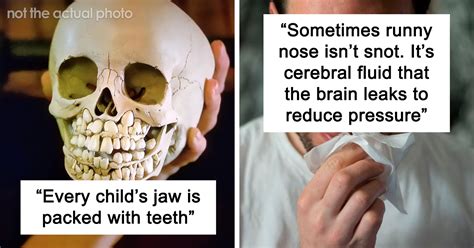 Human Body Facts That Will 100 Trigger You” 27 Obscure Yet