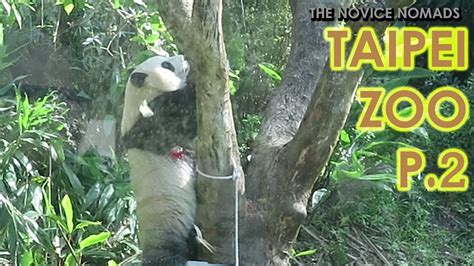 Taiwan Zoo A Hungry Girls Guide To Taipei Snapshotsightseeing I