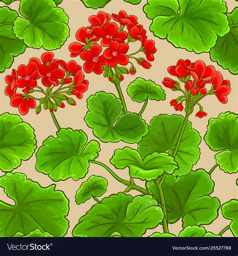 Geranium Branches Pattern Royalty Free Vector Image