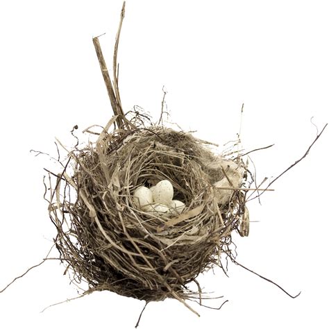 Nest Png