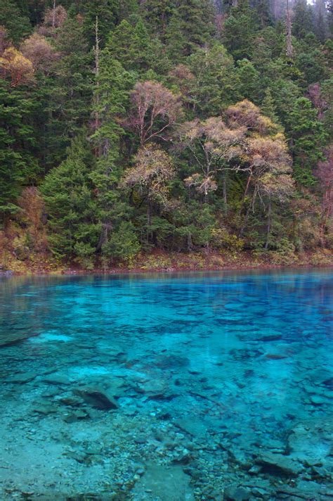 Free Stock Photo Of Beautiful Cyan Blue Lake With Trees Photoeverywhere