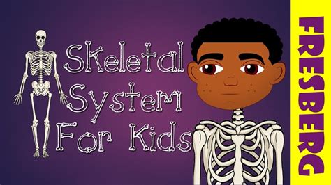 What Is The Skeletal System Introduction To The Skeletal System For