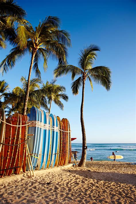 But i never got to my second question because i guy hung up on me after 10 words. Not one for lying around? Surf's up in Hawaii! | Best honeymoon destinations, Beach vibe, Travel