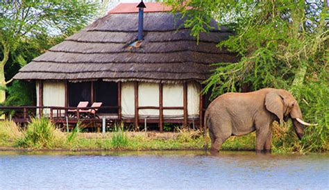 Kruger National Park South African Safari And Tours
