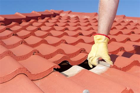 Tips For Maintaining Your Roof Rhino Roofing Llc
