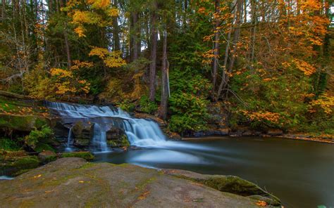 Waterfall Autumn Forest Lake Millstone Creek Bowen Park Nanaimo