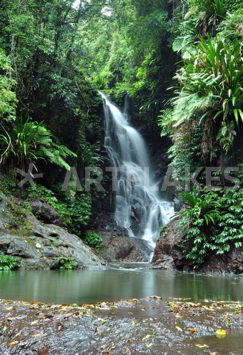 Rainforest Waterfall Photography Art Prints And Posters By Markus